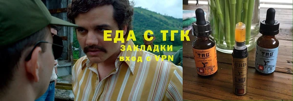 молекула духа Богородицк