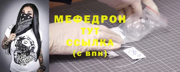 молекула духа Богородицк