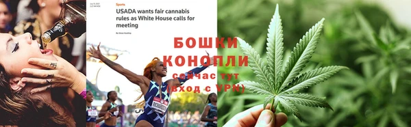 метадон Богданович