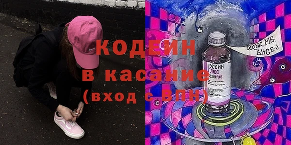 молекула духа Богородицк