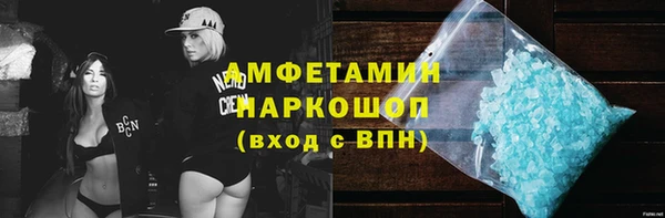 молекула духа Богородицк