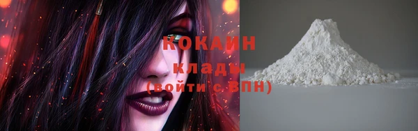 молекула духа Богородицк