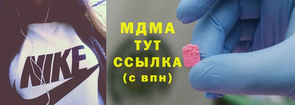 молекула духа Богородицк