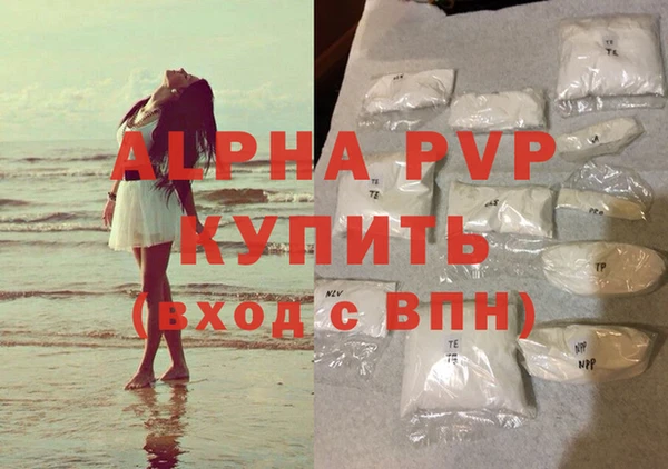метадон Богданович